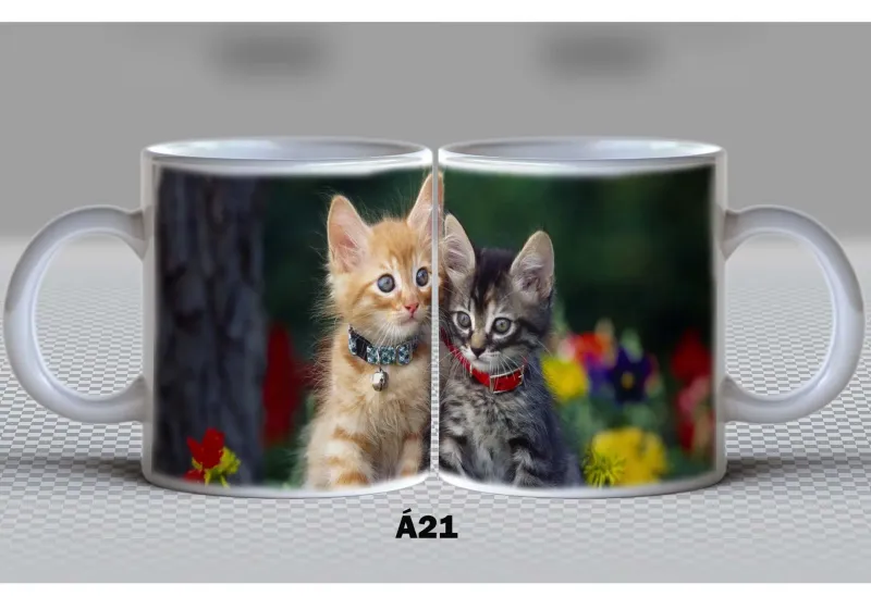 Á21