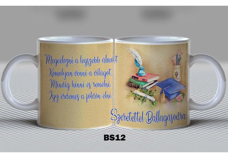 BS12 BS12