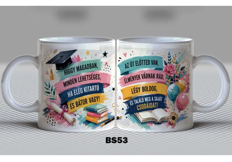 BS53