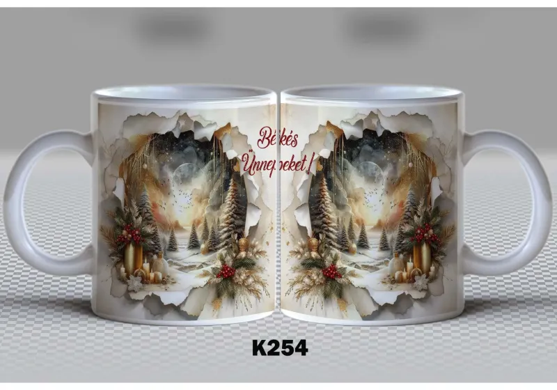 K254 K254
