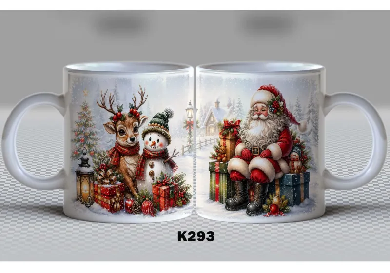 K293