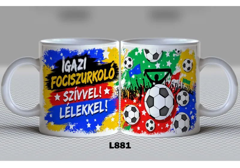L881-FOCI
