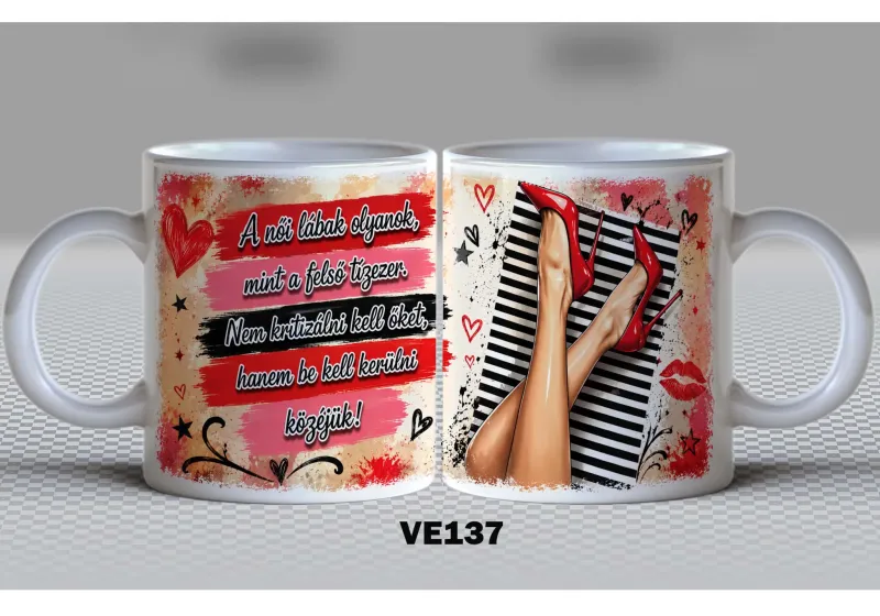 VE137-VICCES VE137-VICCES