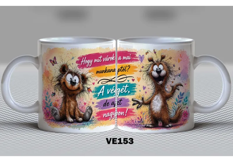 VE153-VICCES