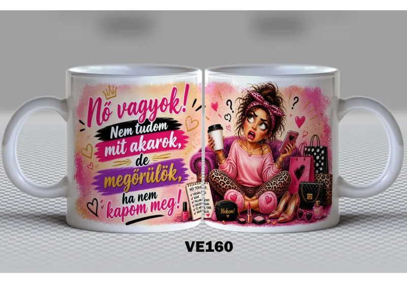 VE160-VICCES VE160-VICCES