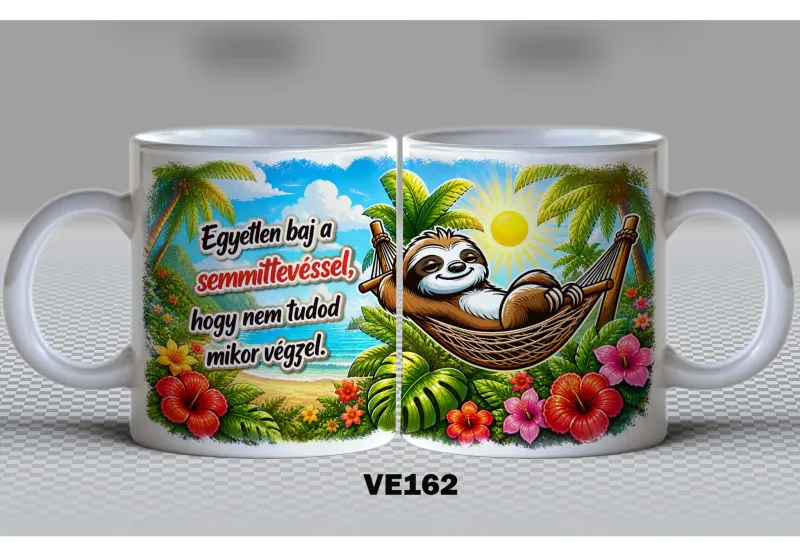 VE162-VICCES