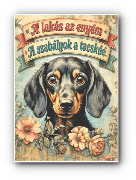 VE36-tacskó-3 VE36-tacskó-3