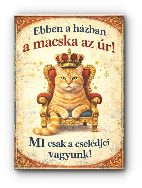 VE43-macska az úr