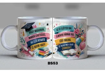 BS53