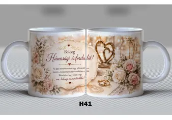 H41