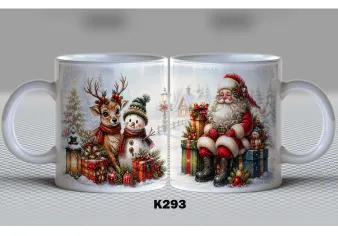 K293