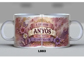 L883-ANYÓS