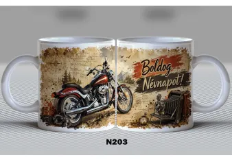 N203