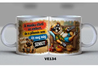 VE-134-VICCES