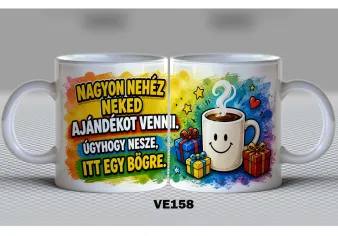 VE158-VICCES
