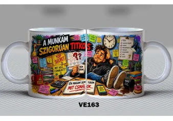VE163-VICCES