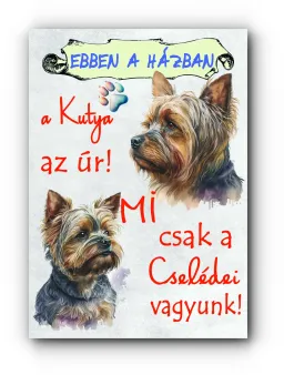 VE31-a yorki az úr-1